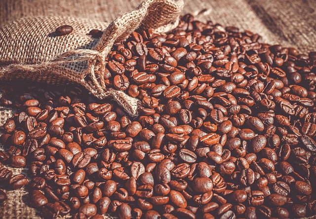 Coffee Processing Methods Explained Clearly