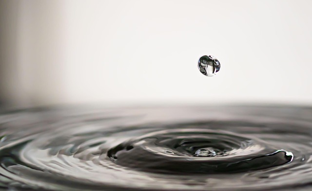 Ecommerce Drop Shipping: Scopri Come Iniziare Oggi