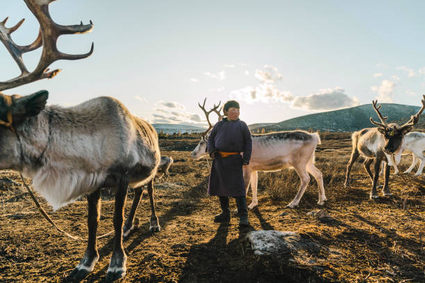 Nomadic Shepherding: The Ancient Travel Tradition Making a Modern Comeback