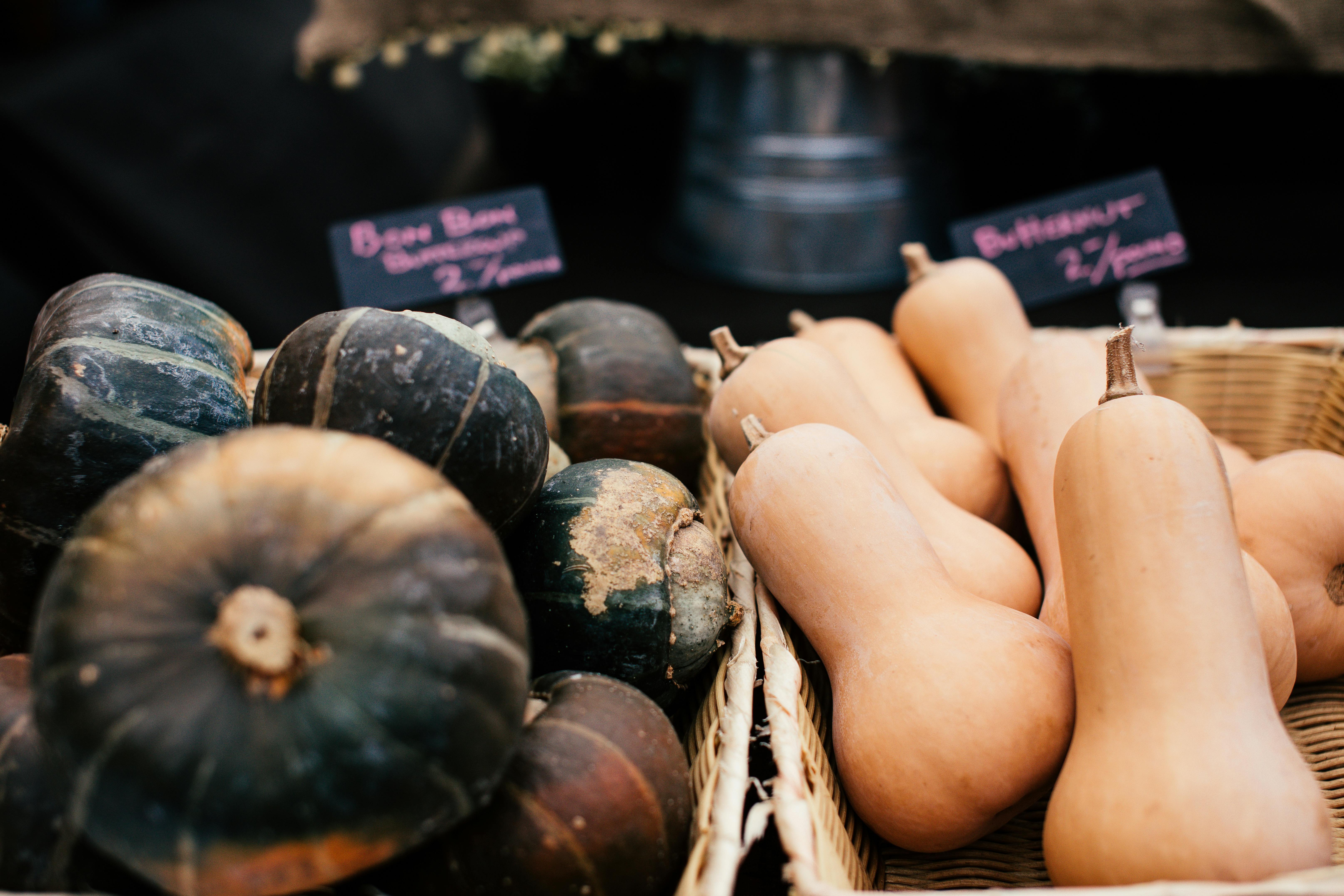 Warming Up to Winter Squash: A Seasonal Delight in Your Kitchen
