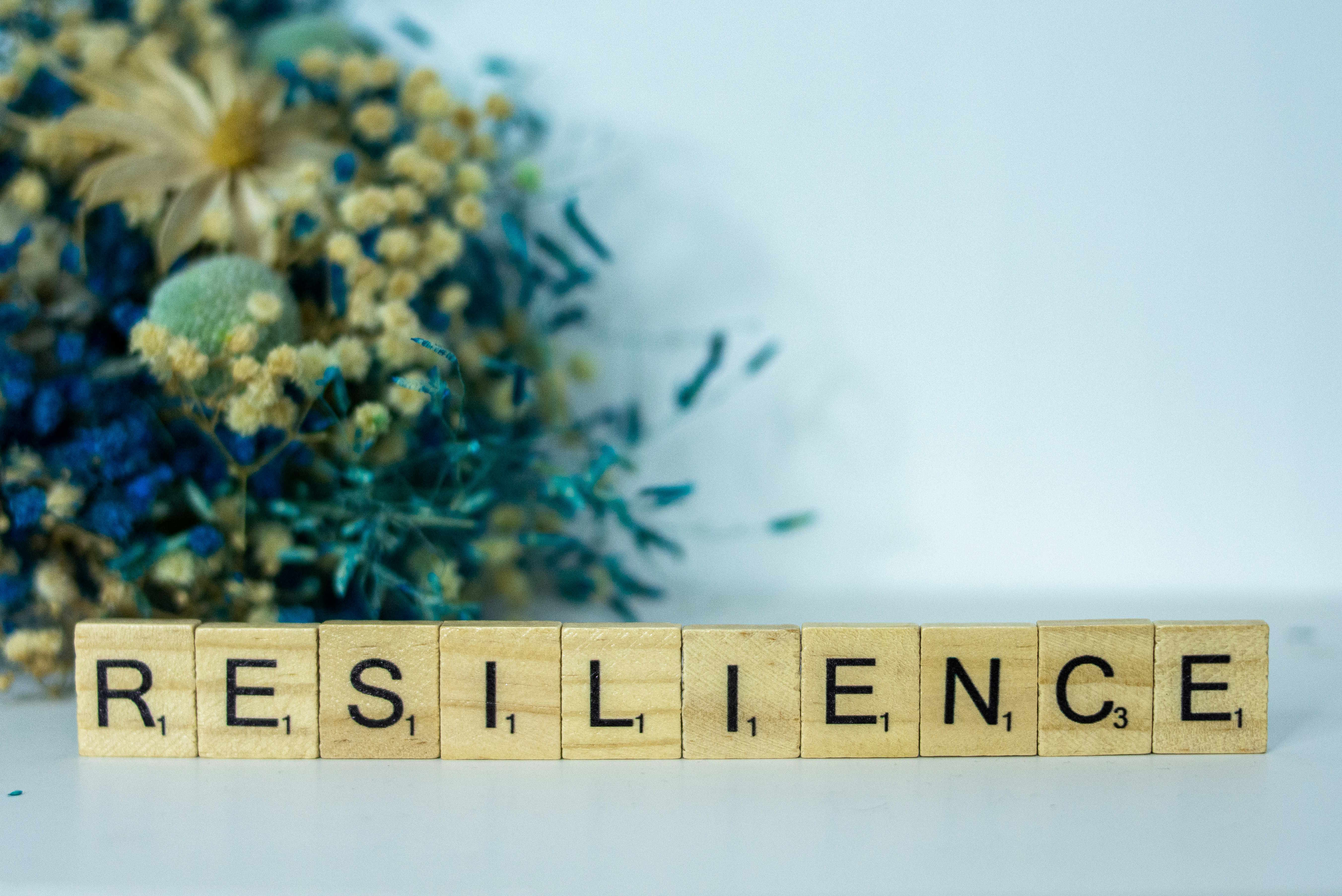 The Emergence of Resilience: Society's New Superpower