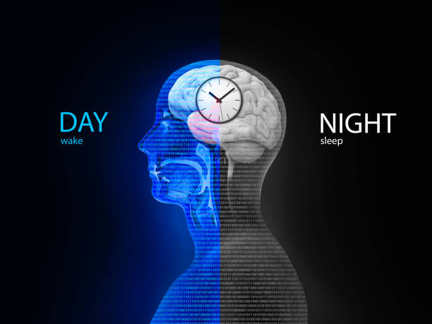 Resetting Your Circadian Rhythm: The Key to Optimal Health