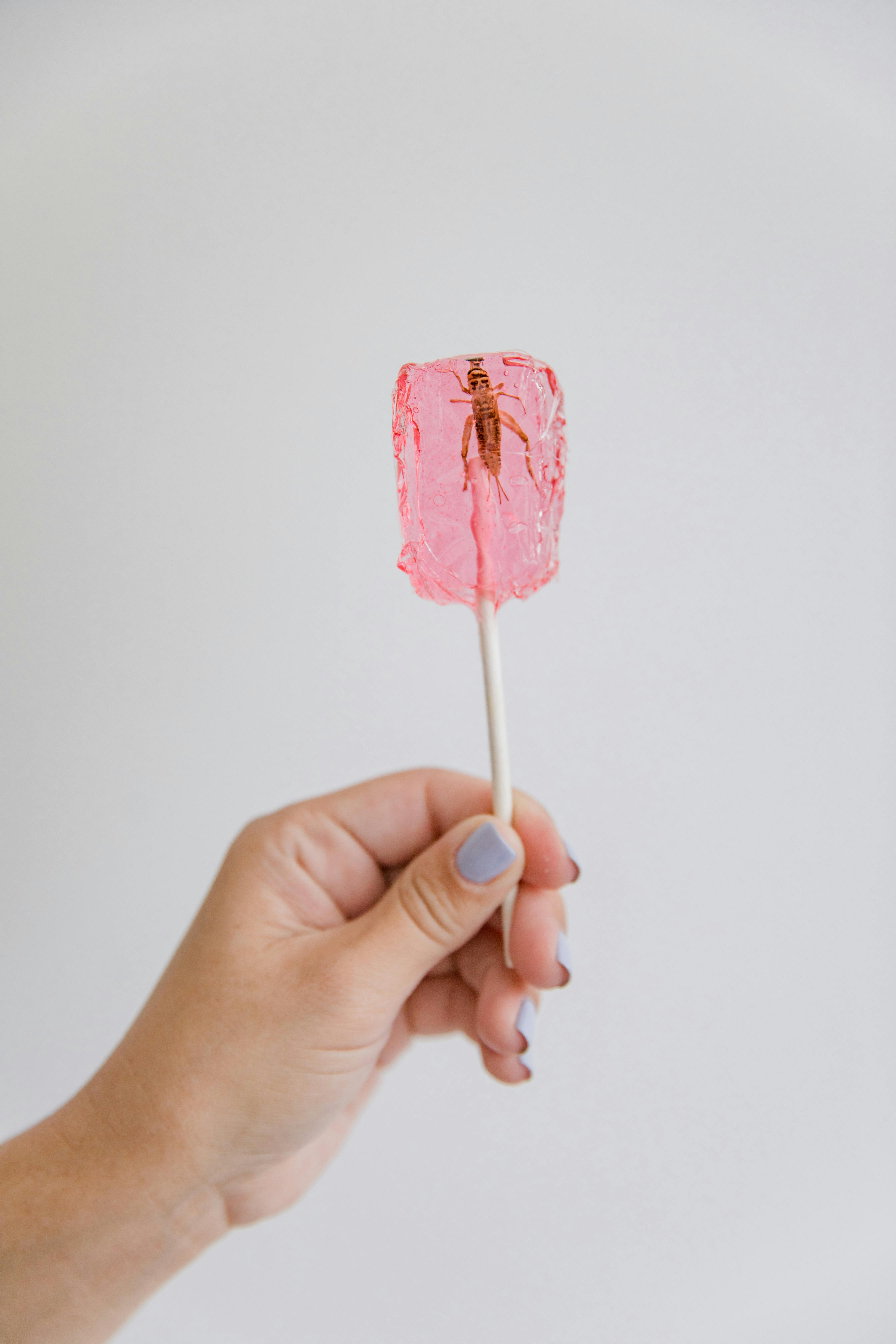 Culinary Innovations: A Dive into the World of Edible Insects