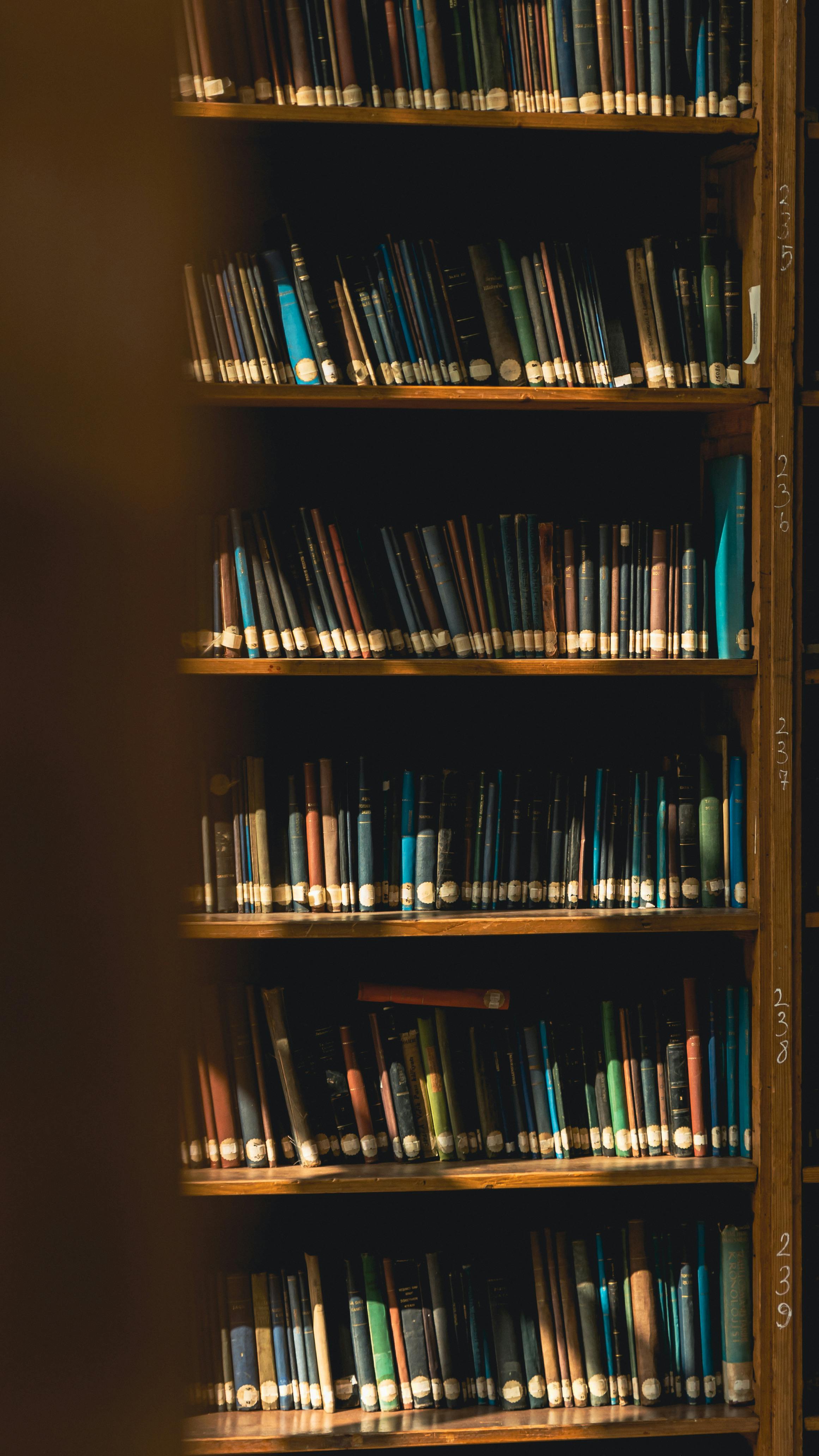 Evolution of Literary Criticism in the Digital Age