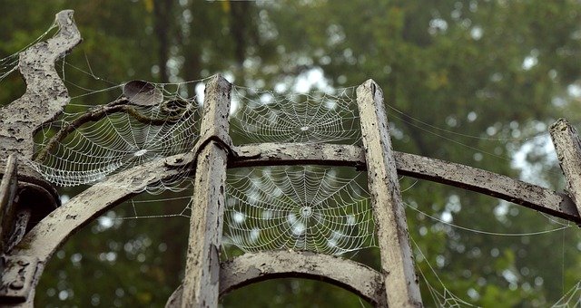 Portal Randkowy Za Darmo - Jak Znaleźć Miłość Online