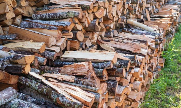  Wie Sie 2025 ofenfertiges Buchen-Brennholz in Deutschland preisbewusst kaufen: Aktuelle Preise und praktische Tipps