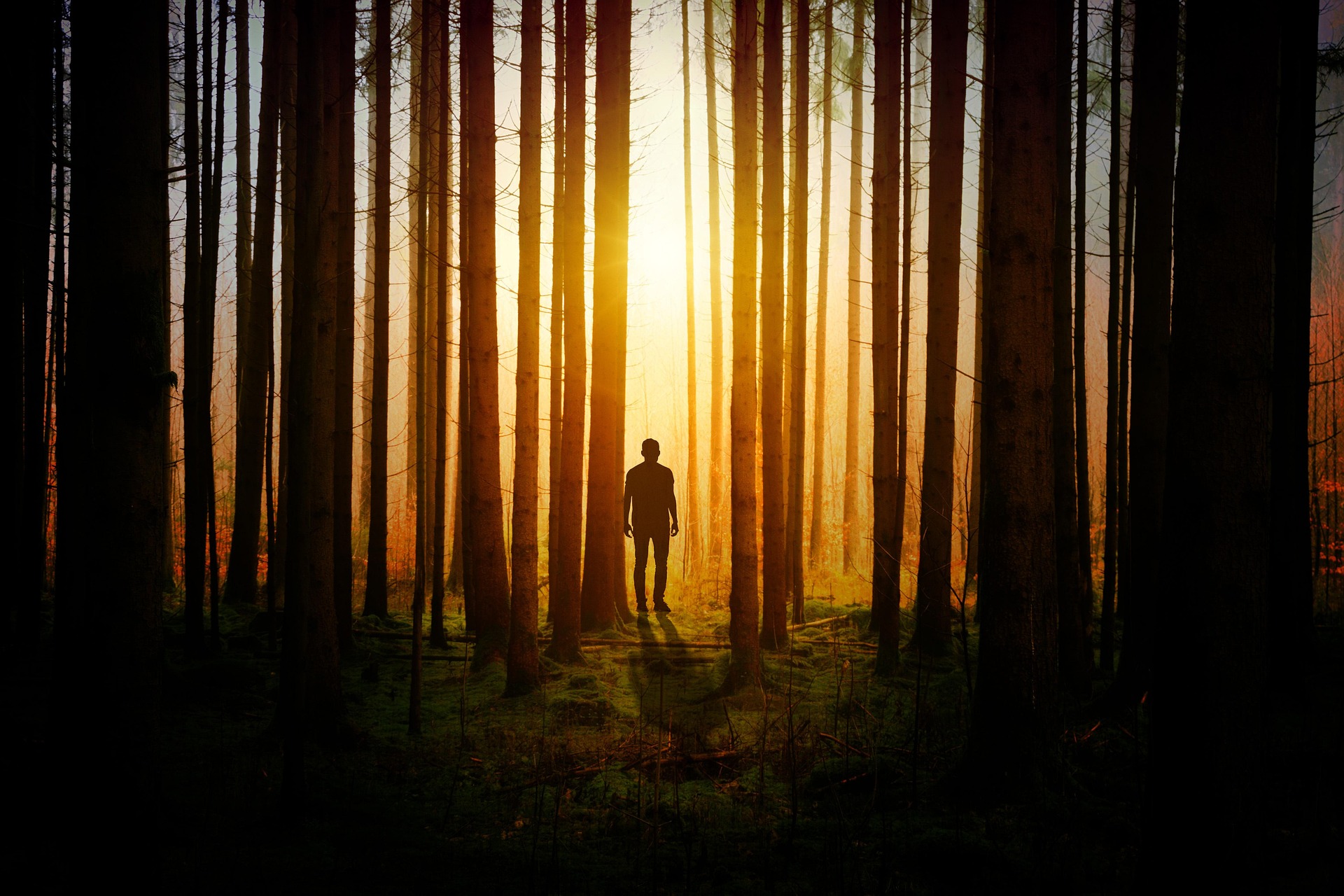 Influential Figures in Finance: Leaders Shaping the Industry